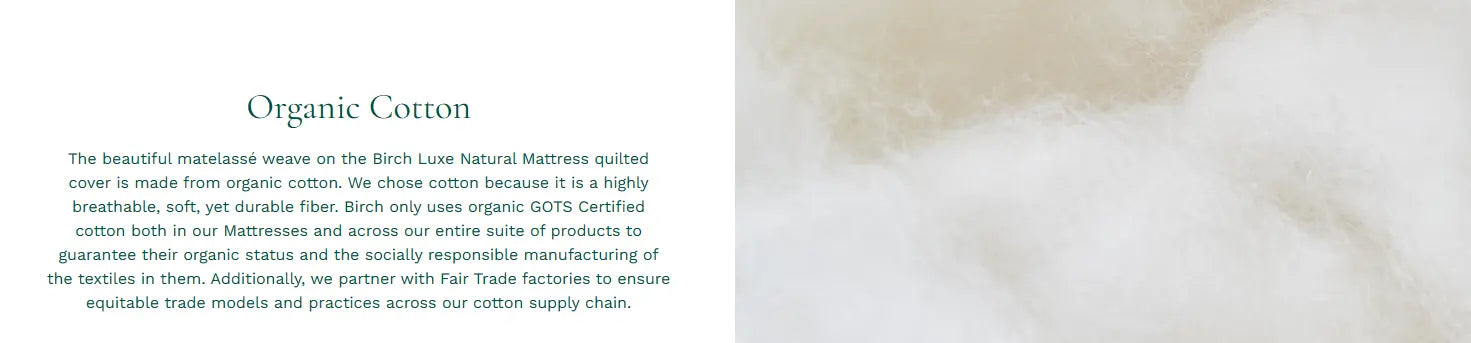 Birch™ Kids Natural Mattress 8".