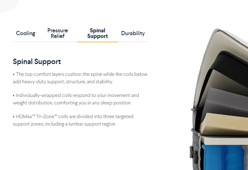 Nolah™ Evolution 15" (3 Firmness Options).