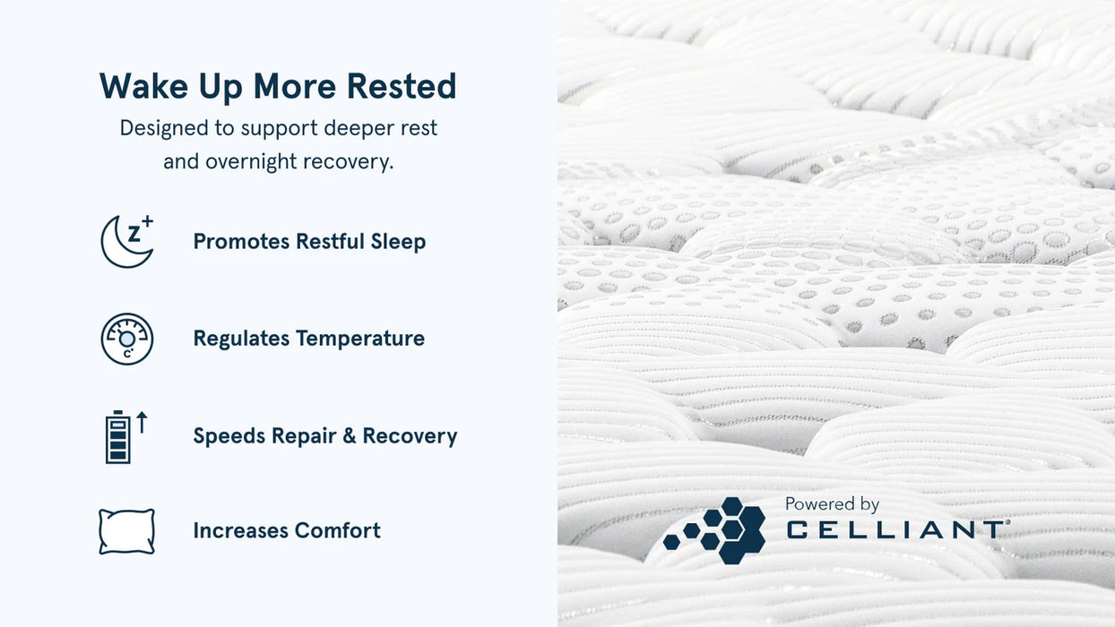 Bear™ Elite Hybrid Mattress 14" (3 Firmness Options)
