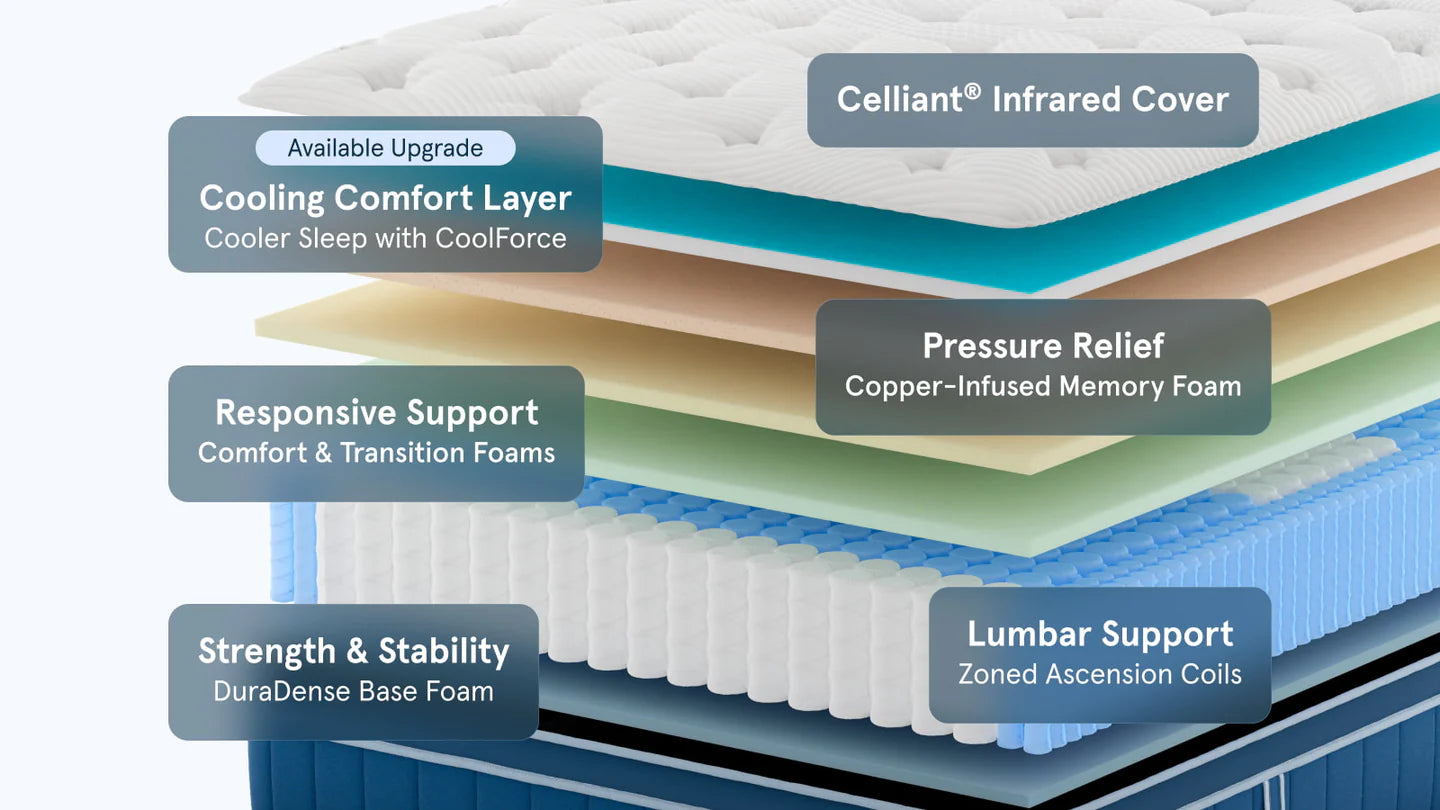 Bear™ Elite Hybrid Mattress 14