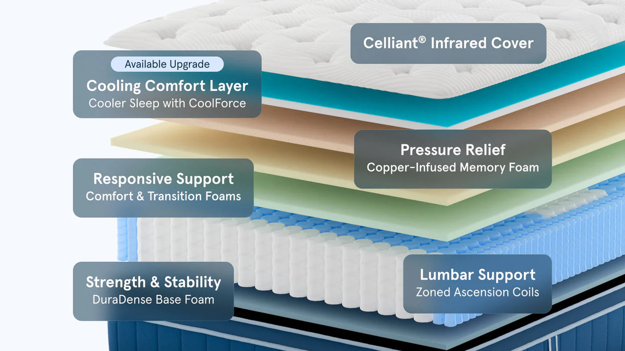 Bear™ Elite Hybrid Mattress 14" (3 Firmness Options)