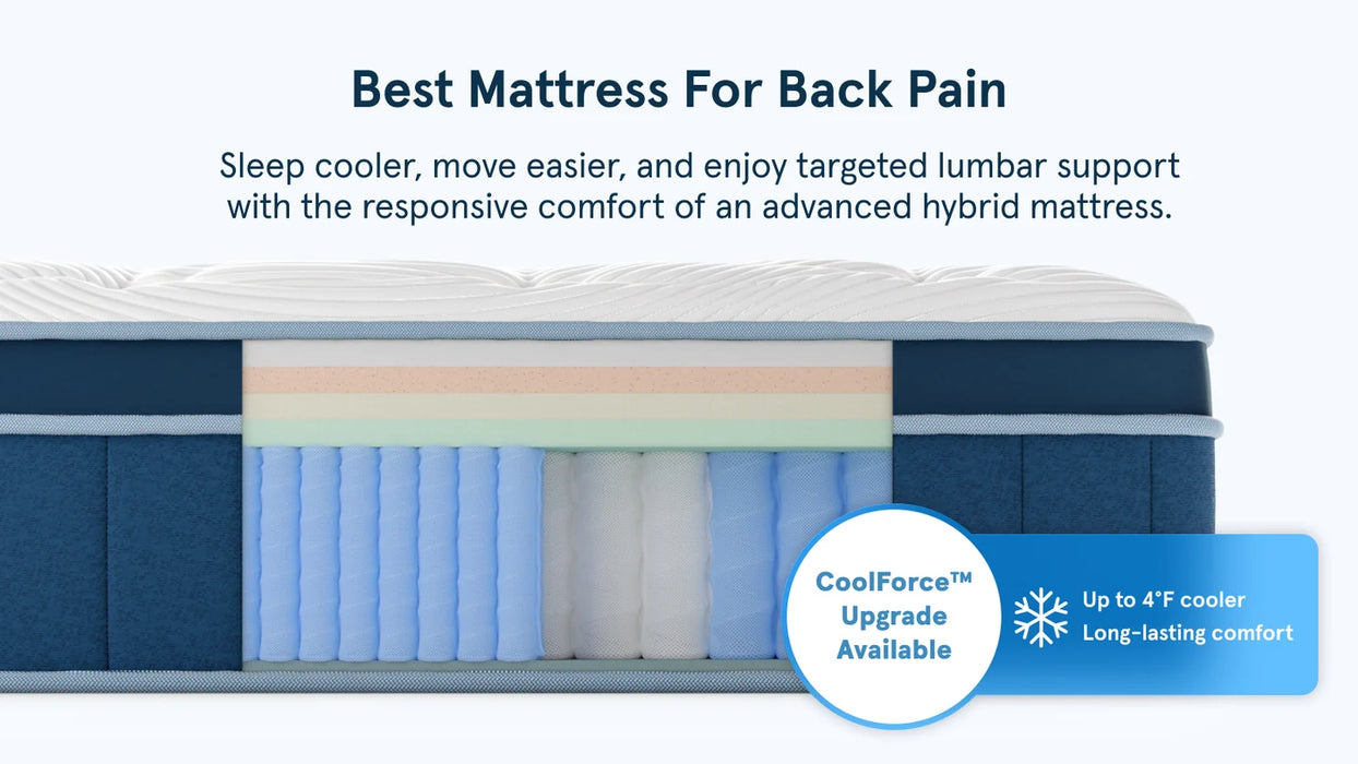 Bear™ Elite Hybrid Mattress 14" (3 Firmness Options)