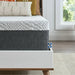 Sealy Essentials 12" Soft Support Memory Foam Mattress Sealy