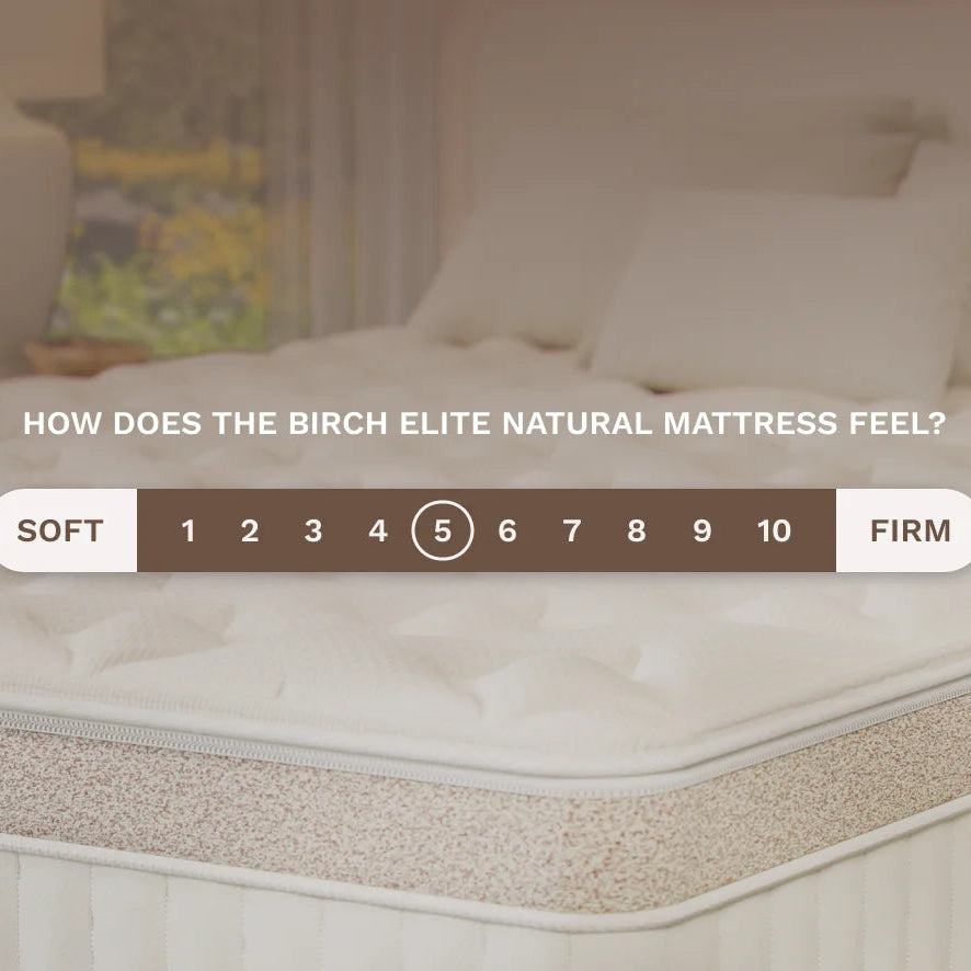 Birch™ Elite Natural Mattress