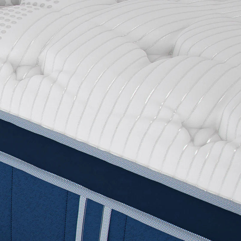 Bear™ Elite Hybrid Mattress 14