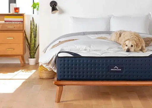 The DreamCloud Mattress 14" DreamCloud