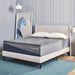 MOLECULE Reflex Boost 12" Mattress Molecule