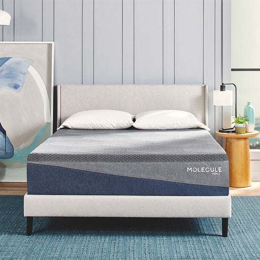 MOLECULE Reflex Boost 12" Mattress Molecule
