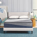 MOLECULE Reflex Boost 12" Mattress Molecule