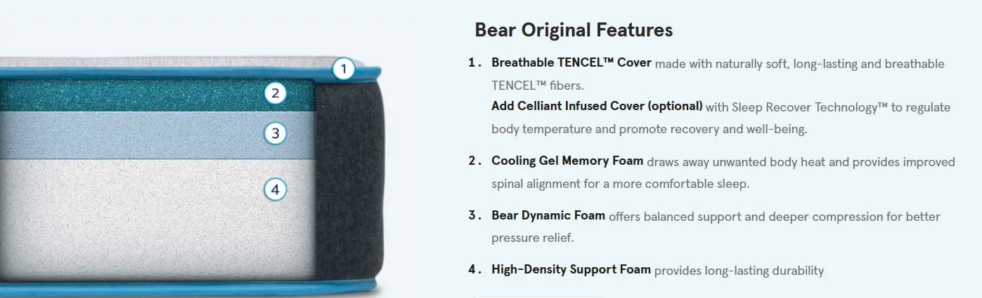 The Bear™ Original 10" (2 Cover Options) Bear