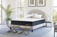 Nolah™ Evolution Comfort+ 14" Plus Size Mattress Nolah