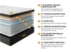 Titan Plus Elite 14.5” Mattress Titan
