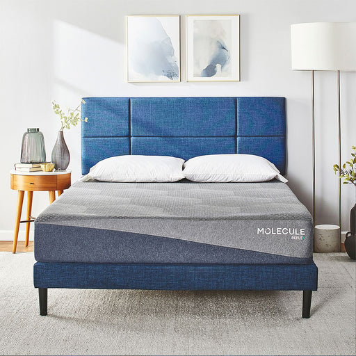 Molecule 10" Reflex Mattress Brands