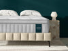 Custom Checkout (2 Leesa Oasis Twins w/ Two 3" Box Foundations) Mattress Brands