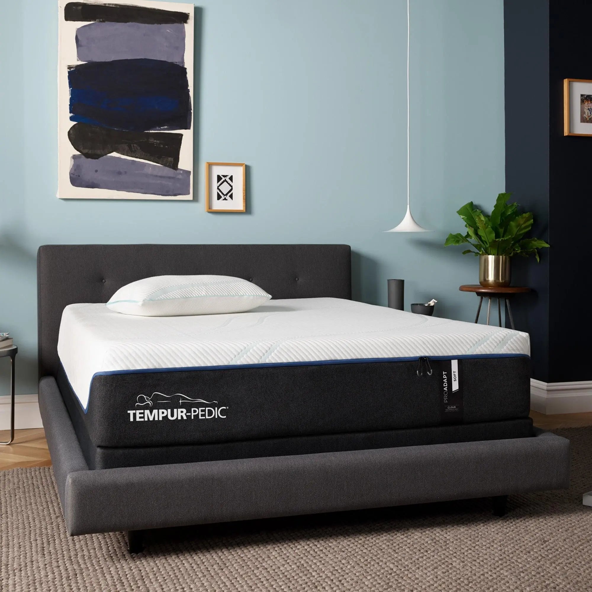 TEMPUR-PEDIC - ProAdapt Soft - Mattress Brands Tempurpedic Mattress